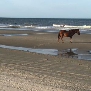 Meet your Posher, Ben